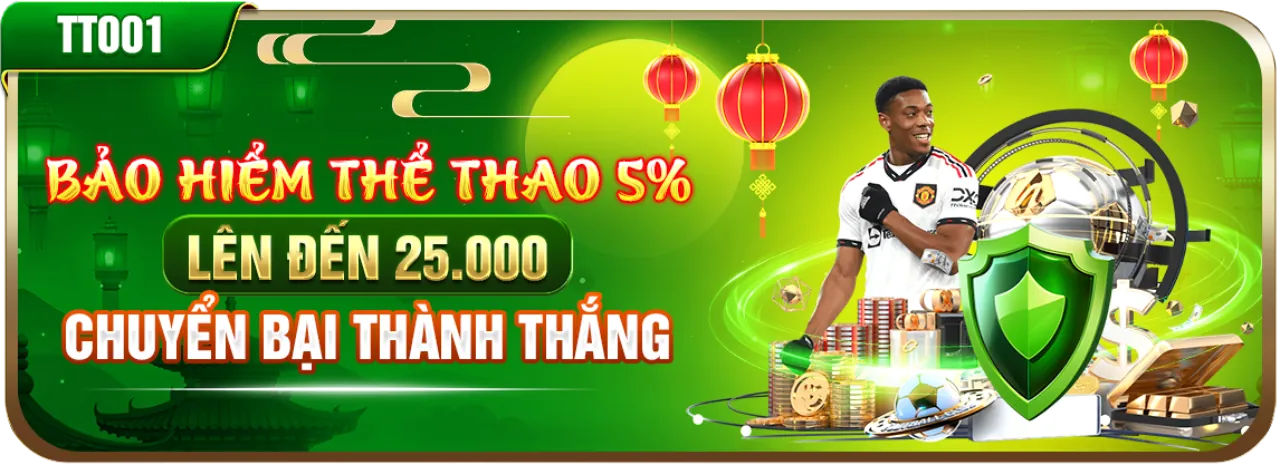 Sân vận động tràn đầy năng lượng với người hâm mộ và các môn thể thao