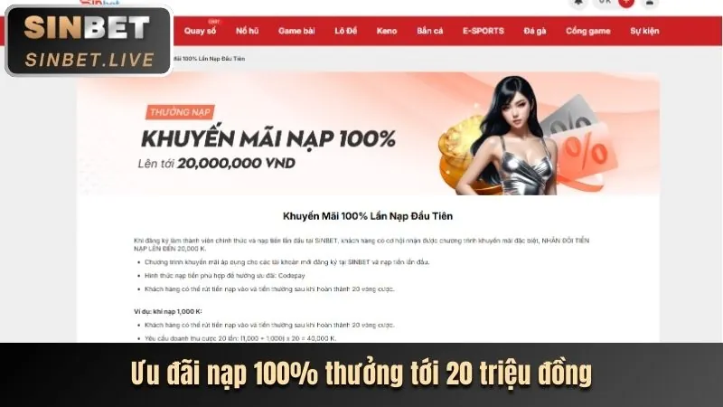 Chương trình Affiliate